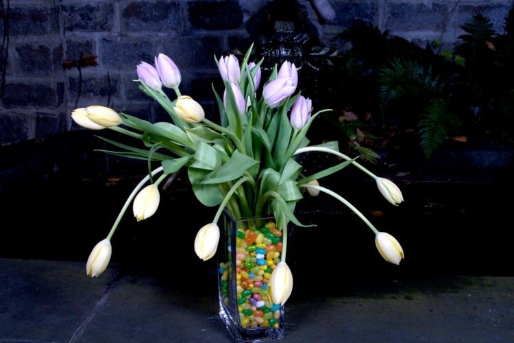 fruehlingsdeko-tulpen-gelb-lila-bonbons-vase-fuellen