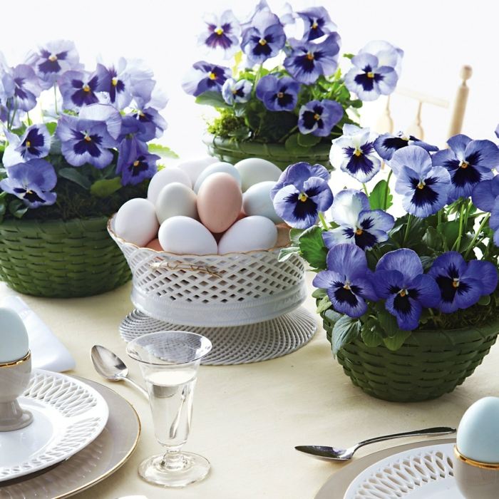 frühlingsblume stiefmütterchen blau korb ostereier festtafel dekorieren