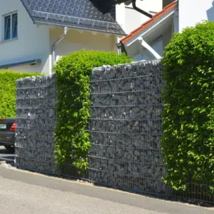 gabionenzaun und hecke kombinieren