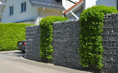 gabionenzaun und hecke kombinieren