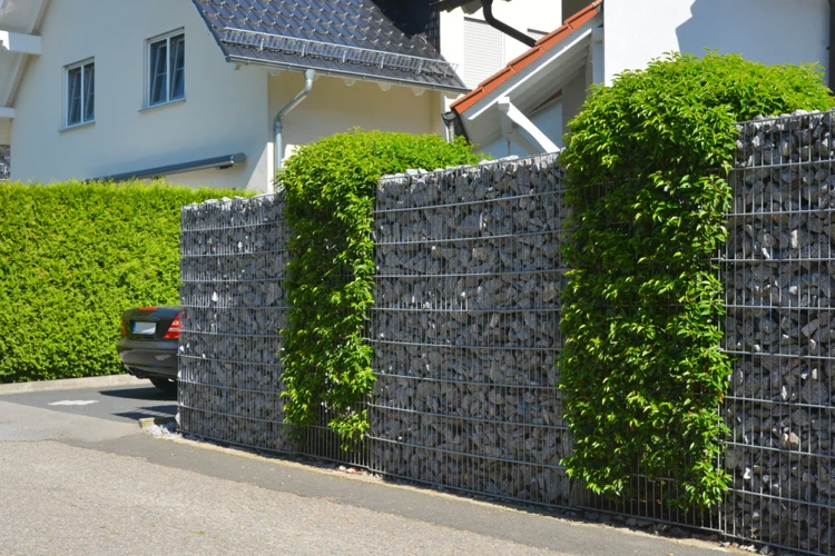 gabionenzaun und hecke kombinieren