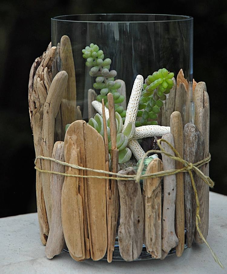 gartenkasten-treibholz-pflanzen-terrarium-glaskasten-sand-steinchen