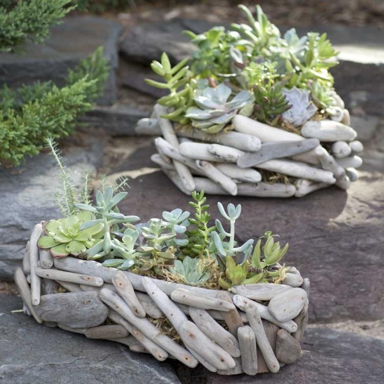Gartenkunst aus Treibholz - sukkuklenten-pflanzen-trocken-kasten