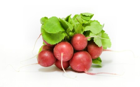 gesunde ernaehrung radieschen vitamine salate garten pflege