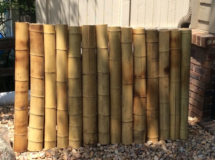im-Garten-Sichtschutz-aus-Bambus