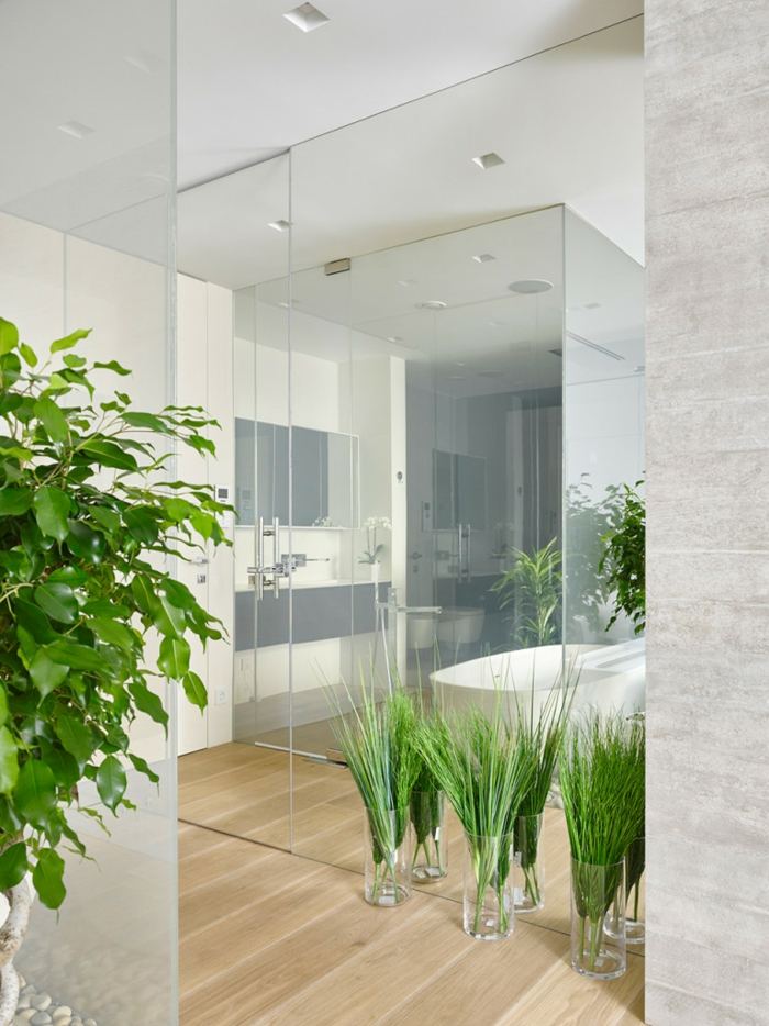 modernes wohnung design badezimmer idee pflanzen vasen glasscheiben parkett