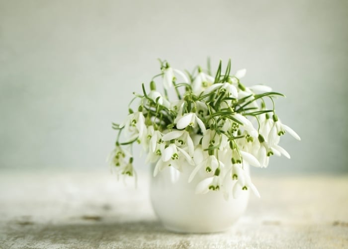 oster tischdeko aus frühlingsblumen schneeklöckchen weiß vase