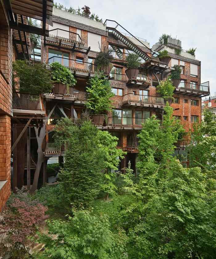 pflanzen schatten schutz wohnungen gestalten balkone stahltraeger