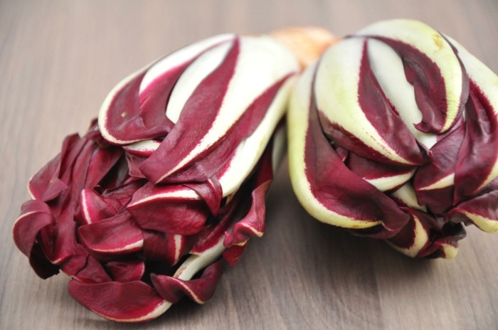 radicchio art laenglich blattsalat pflanzen rote farbe gesund