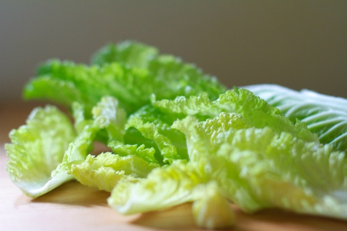 salatblatt chinakohl salat sandwich zutat tipps pflege garten 