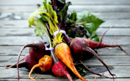 strauss bete sorten gemüse im garten herbst fruehling