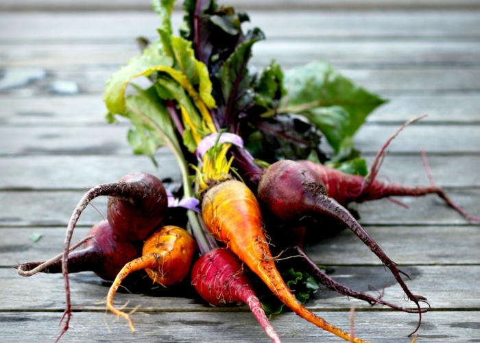 strauss bete sorten gemüse im garten herbst fruehling