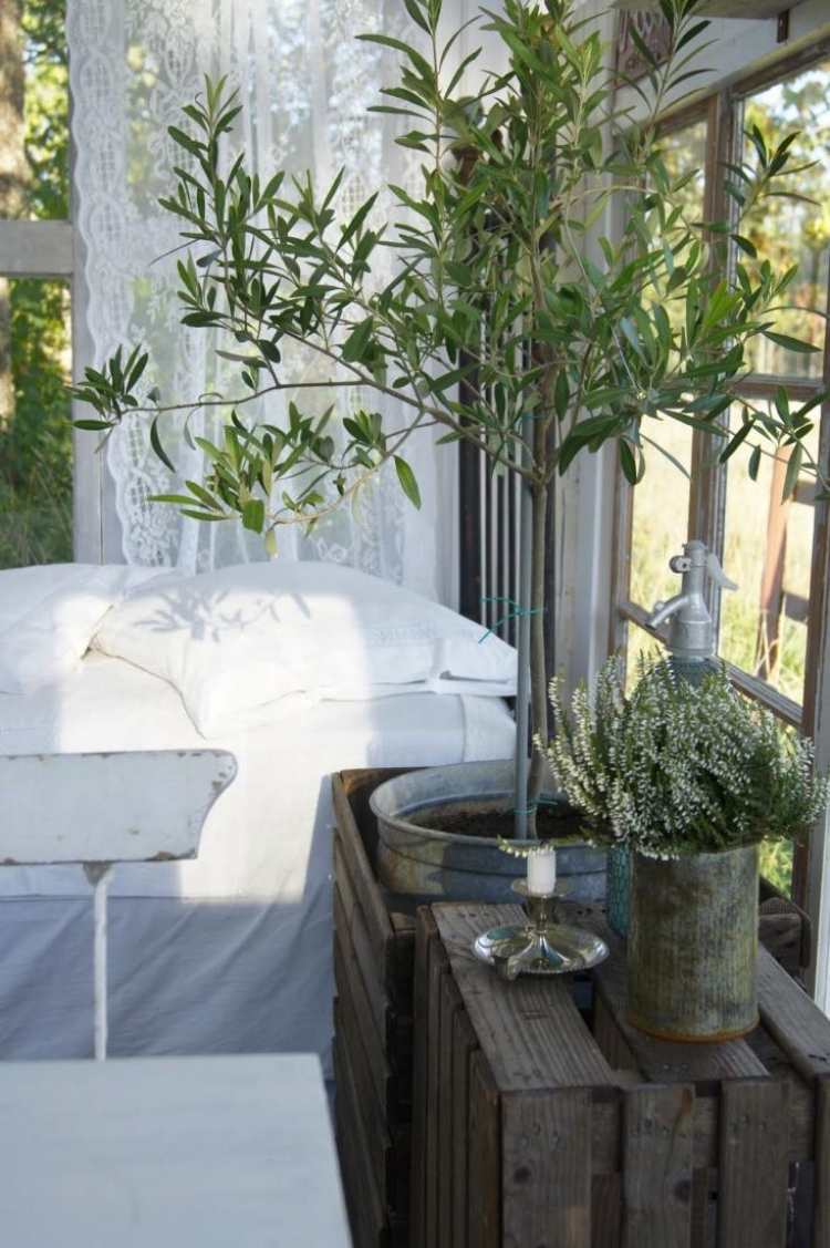 terrasse-gestalten-olivenbaum-fenster-holzkiste-vintage-rustikal-outdoor
