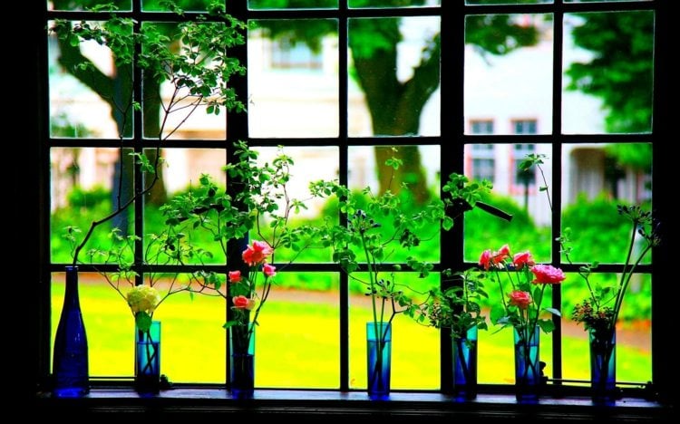 wunderschöne-Ideen-mit-Blumen-für-die-Fenster
