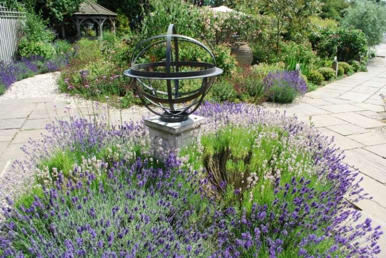 Duftpflanzen-Garten-Lavendel-Weidenkaetzchen
