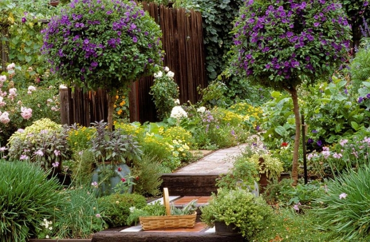 duftpflanzen im garten