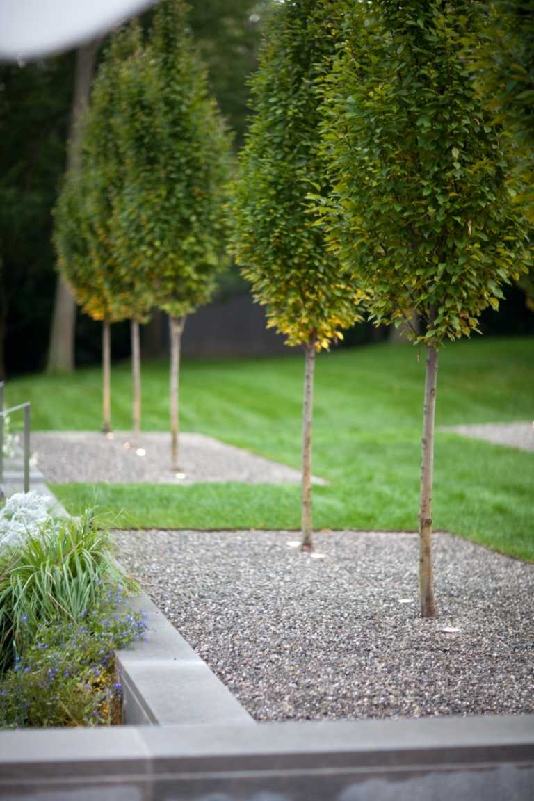 Gartengestaltung-Kies-Kiesbett-Buchsbaum-anlegen