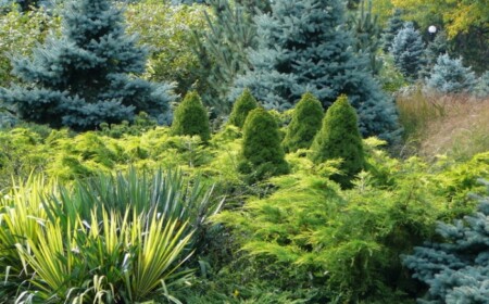 Gartengestaltung mit Koniferen