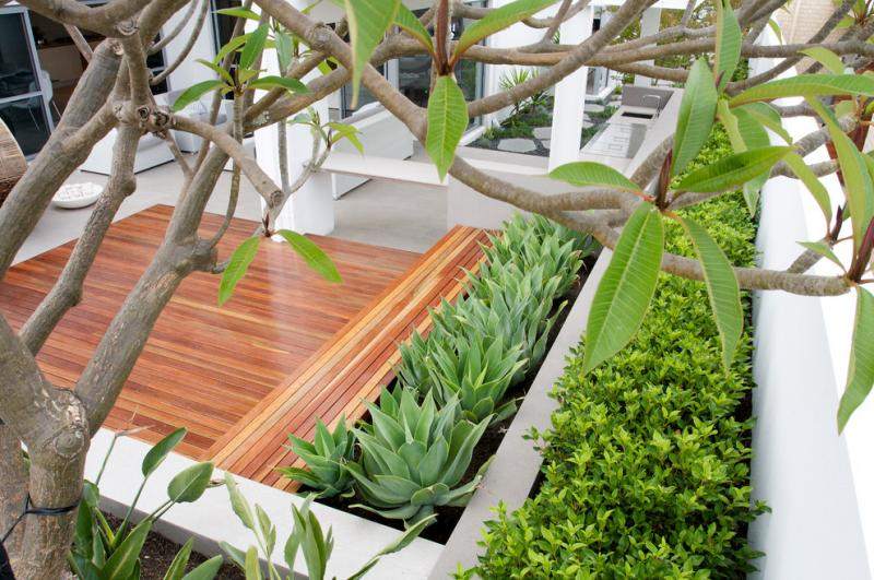 Gestaltungsideen-kleine-Gaerten-Holzterrasse-immergruene-Heckenpflanzen