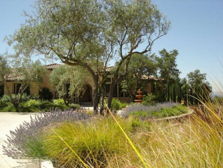 Kräuter und Duftpflanzen Gartenweg-Lavendel-Ideen