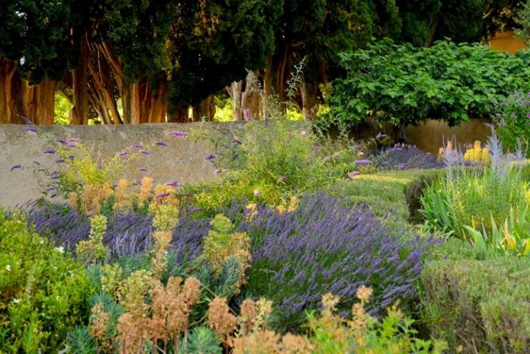 Krаueter-Duftpflanzen-englischer-Garten-Lavendel-Thymian