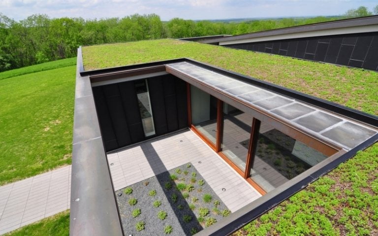 Pflanzen-Dachbegruenung-Rasen-Sonnenschutz