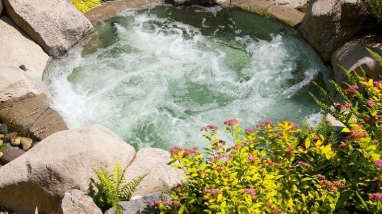 Whirlpool-Garten-Ideen-Natur-Gestaltung-Blumen
