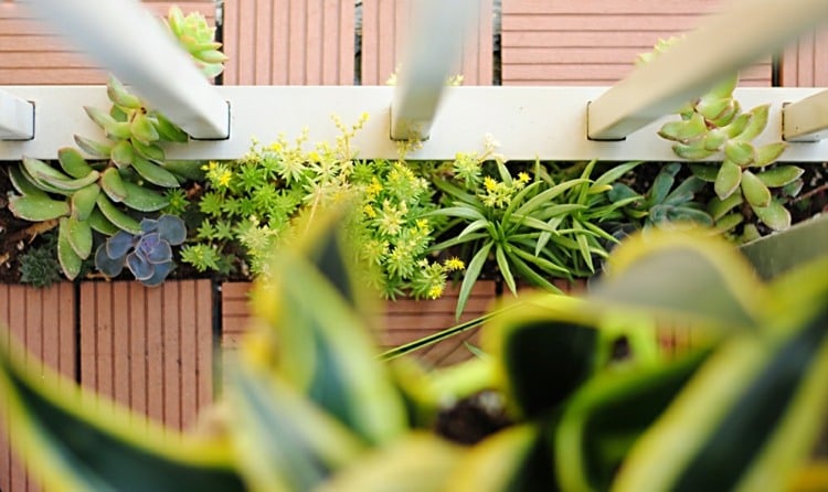 balkon idee deko aus sukkulenten spalte gelaender holzfliesen