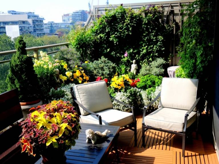 balkonblumen für sonnige standorte-gruene-pflanzen-exotisch-ambiente