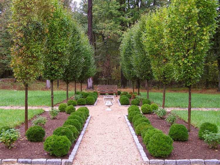 Bäume für kleine Gärten - Ideen für kleinwüchsige Sorten