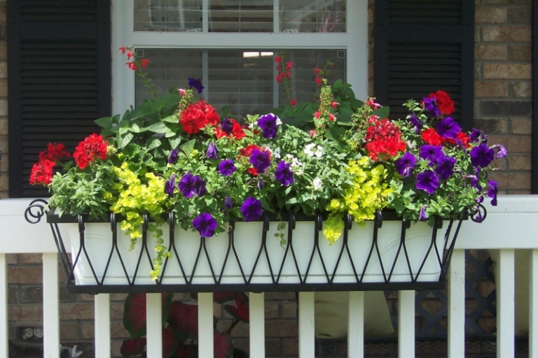 Balkon Blumen  Ideen und Beispiele f r Blumenkasten  bepflanzen