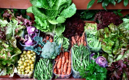 gemuese pflanzen garten karotten salat kopfsalat petersilie