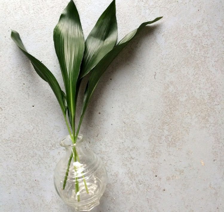 metzgerpalme blumen arrangement idee blaetter deko runde vase