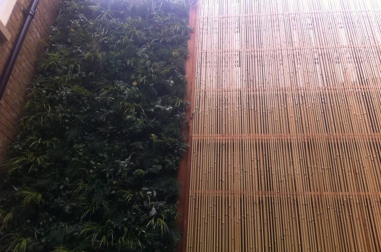 Sichtschutzelemente aus Holz -bambus-lang-schmal-pflanzen