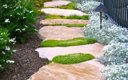 stein weg im garten fugen moos natur design zaun steingarten