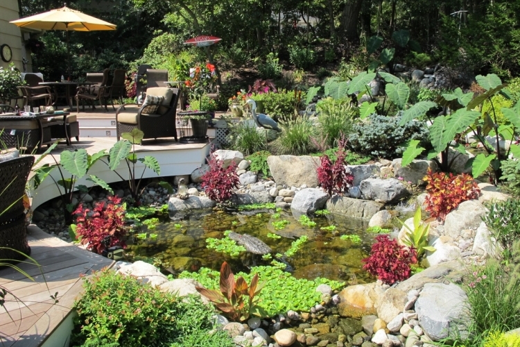 teich-bachlauf-garten-anlegen-lilien-bartenbau-steine