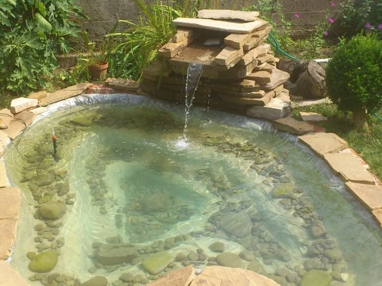 Teich mit Bachlauf im Garten anlegen - Tipps und Ideen