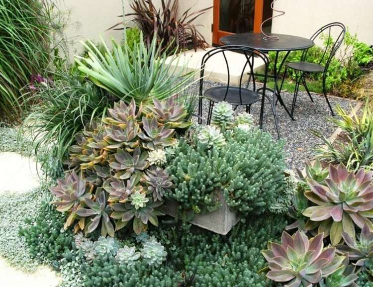 terrasse idee pflanzen beet sukkulenten gross sitzbereich garten