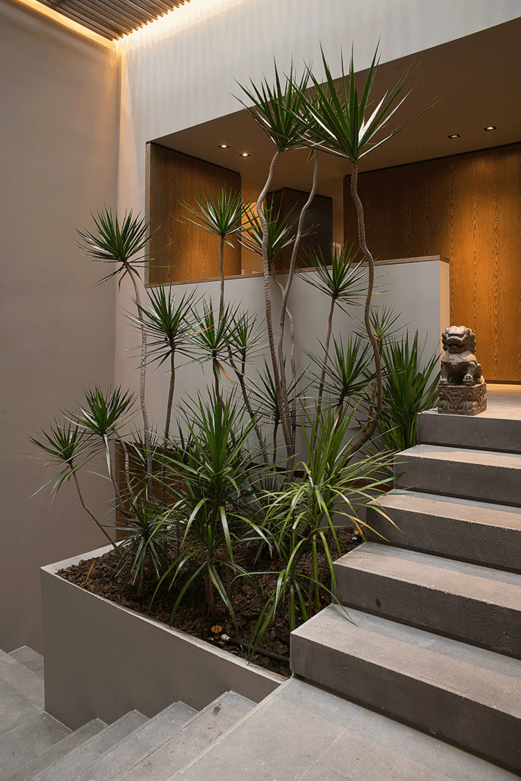 treppe grau design modern palmen pflanzkuebel einrichtung idee