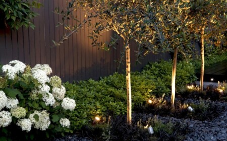 Unterpflanzung für Bäume