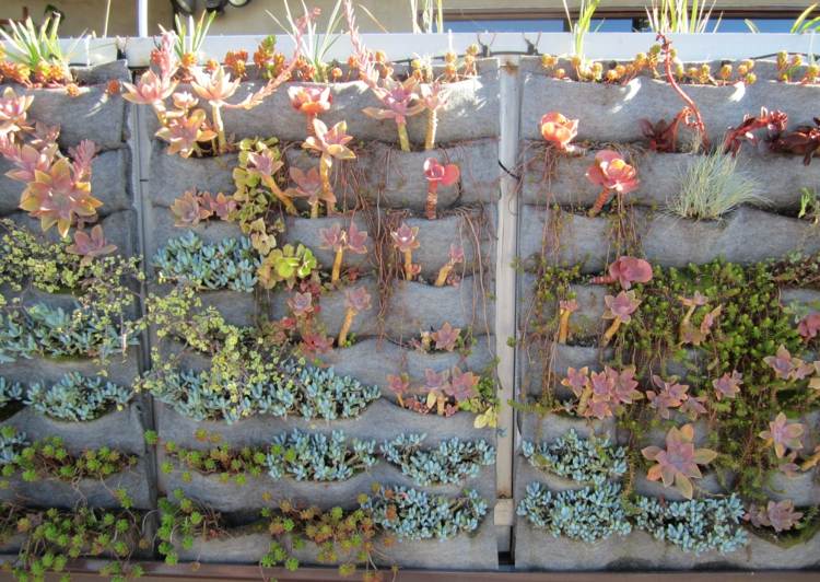 wandgestaltung sukkulenten taschen pflanzen outdoor idee garten