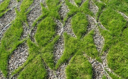 zierkies-im-garten-gestalten-geometrisch-kunst-rasen-formen-schoen-metallprofile-leisten