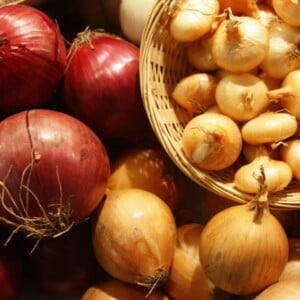 zwiebel pflanzen rot gelb schalotten korb garten arbeit