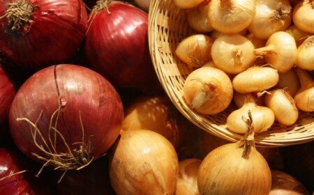 zwiebel pflanzen rot gelb schalotten korb garten arbeit