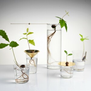 baum im glas wald haus deko idee messing