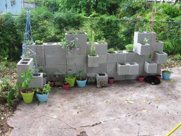 beton-schalsteine-gartenmauer-blumentoepfe-kletterpflanzen