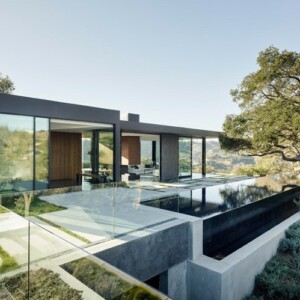 haus aus glas und beton pool lang infinity eiche baum wohnbereich