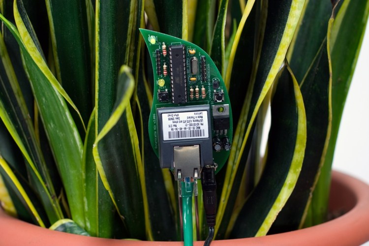 hi tech vatertag geschenk botanicall kit pflanzen pflege assistent smart