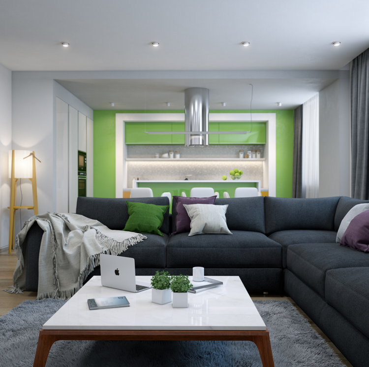 moderne wohnzimmer dunkelgrau sofa couchtisch kueche limette hochglanz