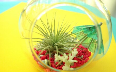 pflanze terrarium diy glaskugel gestaltung deko idee wohnung arrangement